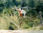 Say NO to Heli Hunting in New Zealand